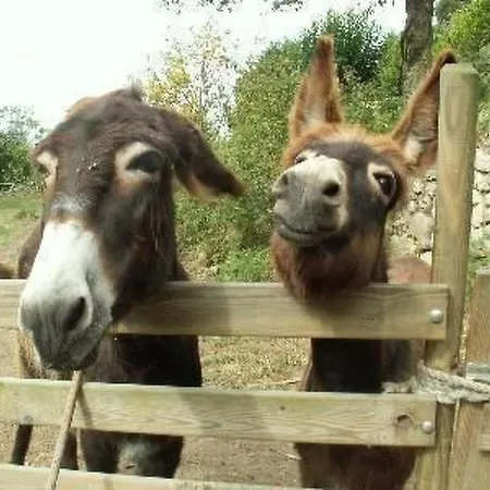 Prázdninový dům In Ihrer Reinsten Form By Interhome *